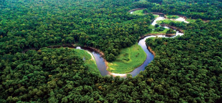 █ A Amazônia Brasileira é do  BRASIL